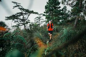 BIB: 
                            <button type="button" onclick="openModal(25258162)" class="btn btn-primary btn-sm float-right btn-popup" data-toggle="modal" data-target=".modal-high-quality">
                        <i class="fas fa-shopping-cart"></i> Add to Cart
                    </button>
                                            <button type="button" onclick="isThisMe(25258162, true)" class="btn btn-success btn-sm float-right btn-popup btn-isme hidden" data-toggle="tooltip" data-placement="bottom" title="นี่คือรูปของคุณใช่ไหม คลิกที่นี่เพื่อเอาเข้าอัลบั้ม">
                        <i class="fas fa-plus"></i> Add to album
                    </button>
                    <button type="button" onclick="isThisMe(25258162, false)" class="btn btn-warning btn-sm float-right btn-popup btn-isnotme hidden">
                        <i class="fas fa-ban"></i> Remove from album
                    </button>